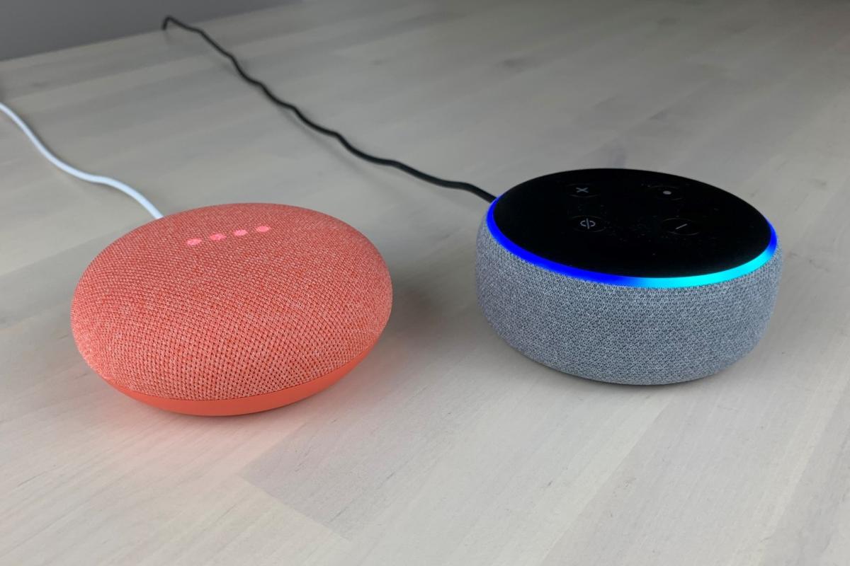 google nest mini with amazon echo dot